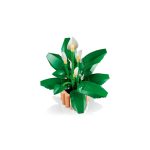 LEGO® Botanicals - Vitorlavirág (11504)