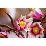 LEGO® The Botanical Collection - Magnóliaágak (11510)