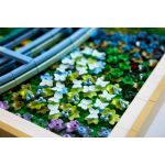 LEGO® Art - Claude Monet: Híd a vízililiomos tó felett (31220)