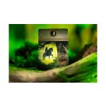 A Gyűrűk Ura - Párbaj Középföldéért